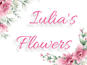 Iulia's Flowers Brașov